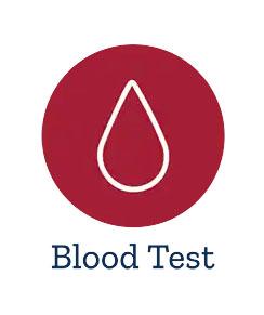 Male Panel Blood Test