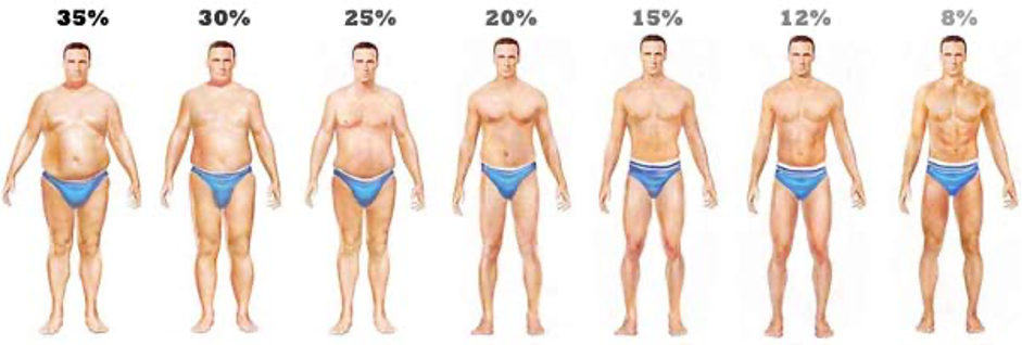 Male body fat percentages