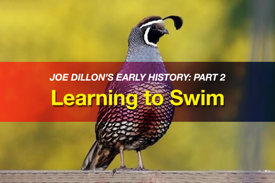 Learning To Swim title image with quail