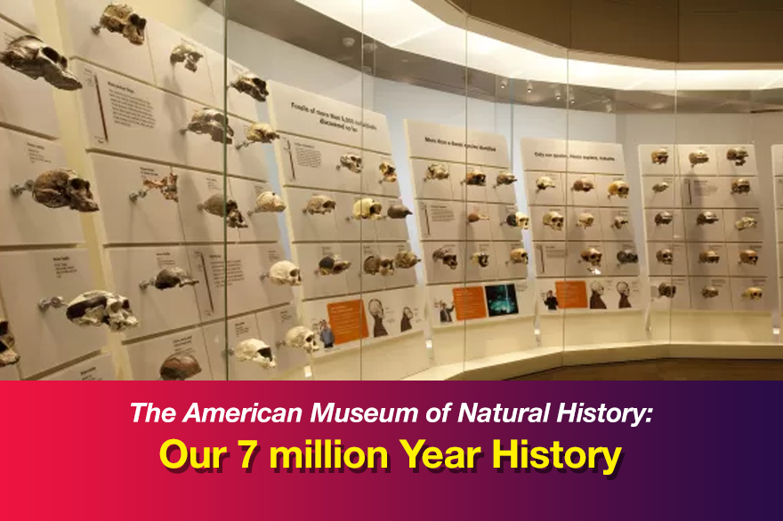 The American Museum of Natural History: Our 7 million Year History